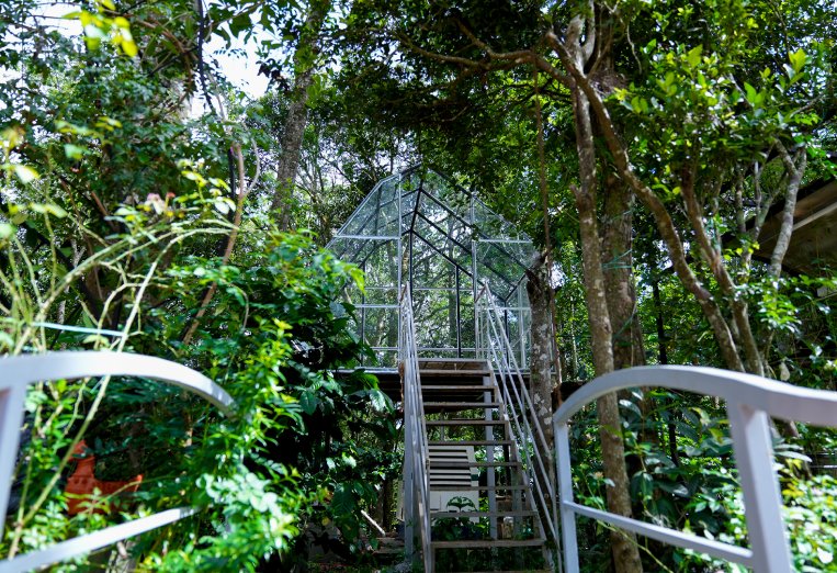 Sirumalai - Multi-Cuisine Restaurant